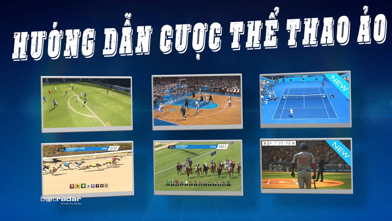 Cược thể thao ảo