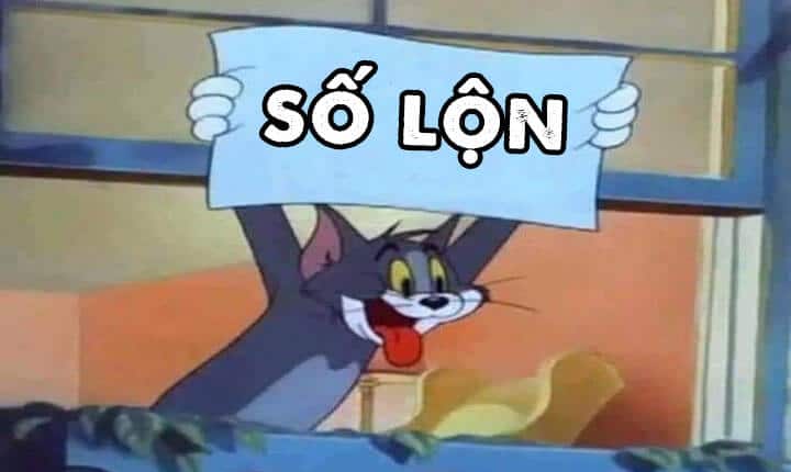 Số lộn